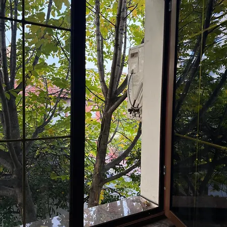 Osho Hostel