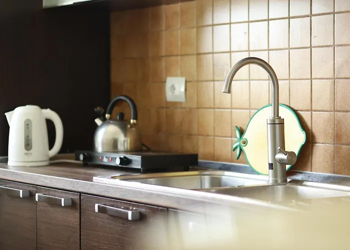 旅馆 Osho 地拉那